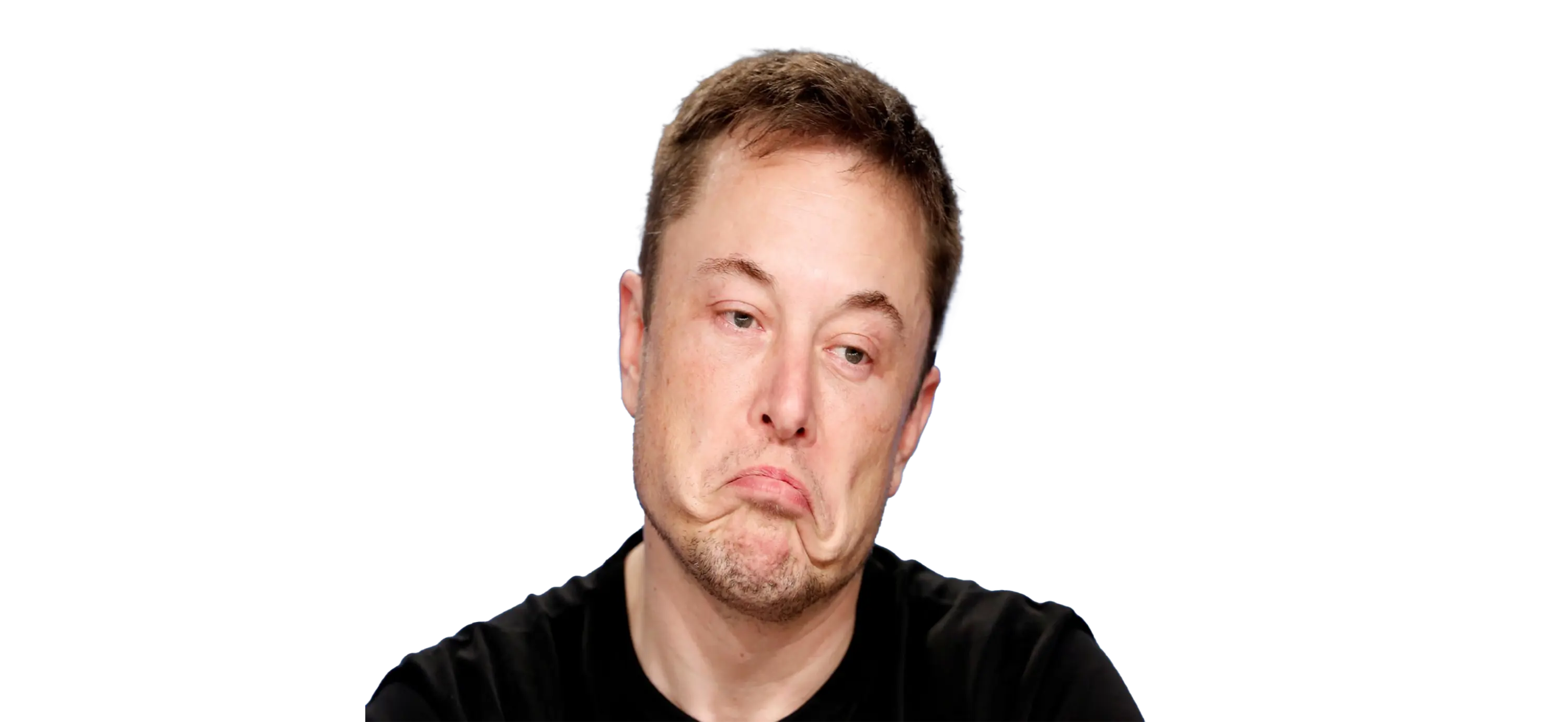 long face Elon Musk